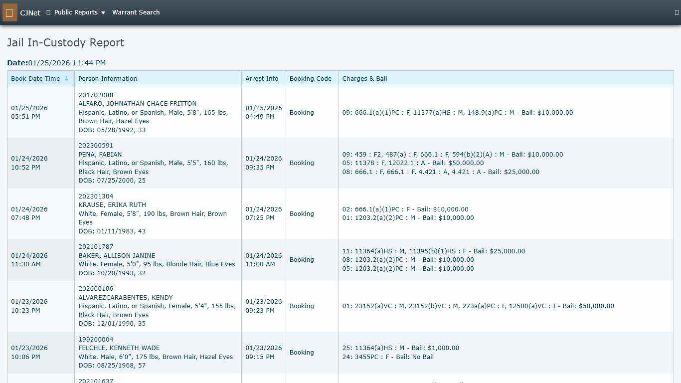 Jail In-Custody Report CJNet